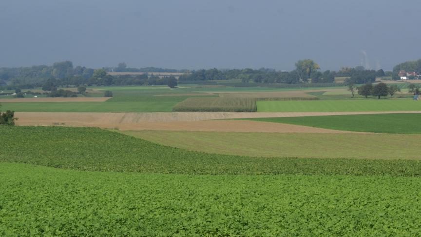 De nieuwe erfrechtelijke regels zullen van toepassing zijn op alle nalatenschappen die openvallen vanaf 1 september 2018.