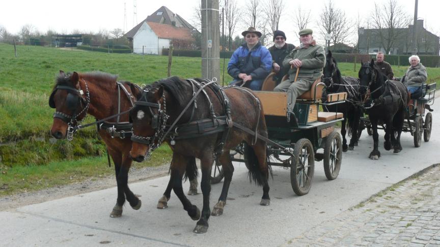 Koetsenwandeling Sint-Rochusruiters uit Wortegem.