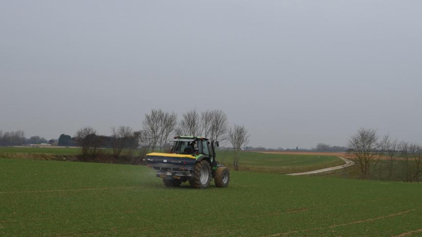 De bemestingsstrategie in wintertarwe kan sterk verschillen.  Gezond verstand en staalname  zijn dé leidraad bij de strategie.