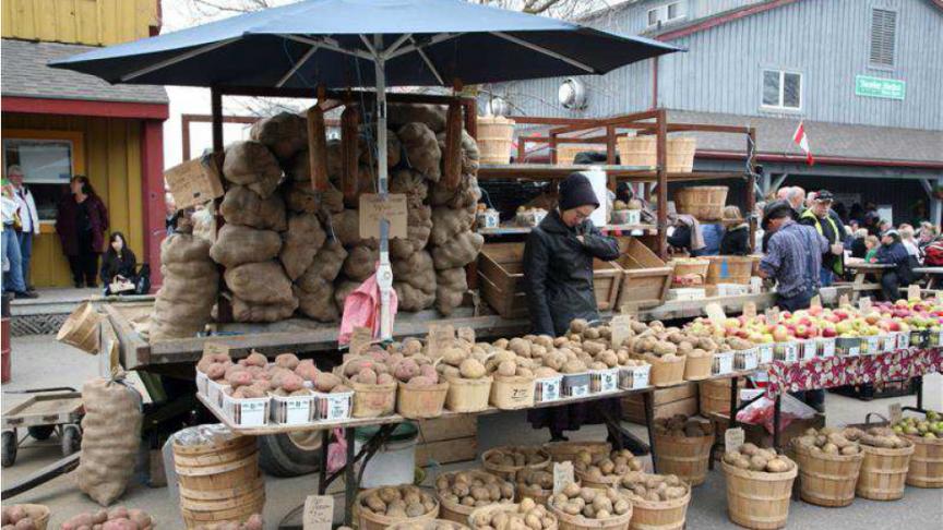 Een mooie productpresentatie en een sfeervolle winkelinrichting dragen bij tot een goede verkoop.