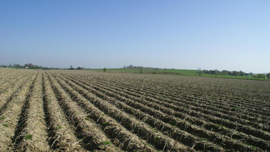 Bij het afdekken in de openlucht brengt men het doek het best aan dadelijk na het planten.