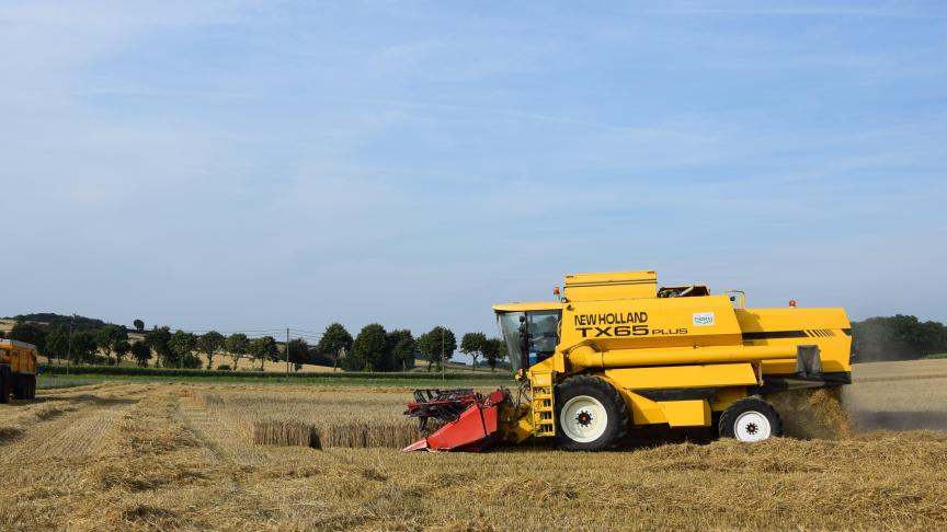 Op internationale termijnmarkten wordt graan beter betaald, in de
verwachting dat oogsten op diverse plaatsen tegen zullen vallen.