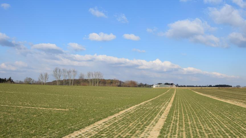 De belangrijkste wijziging van het Bodemdecreet betreft de invoering  van een verplicht bodemonderzoeksmoment voor nog niet onderzochte gronden.