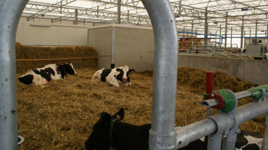 Met name de stemming van melkveehouders is gezakt.