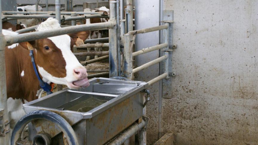 Internationale zuivelnoteringen zijn opnieuw gestegen.