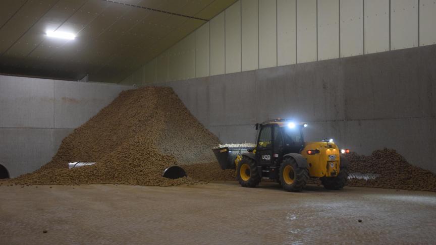 Het prijsverschil tussen goede en minder goede kwaliteit van aardappelen die nog in stock liggen zal verder toenemen.