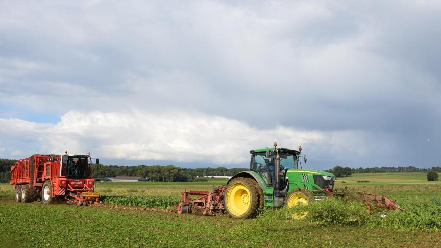 Slechtere prijzen maar  gestegen opbrengsten  voor aardappelen en  suikerbieten zorgden  voor een beperkte daling  van de semi-brutowinst  bij akkerbouwers.