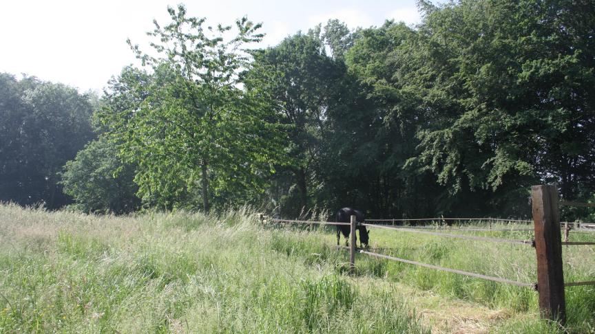 Een deel van de weide om te hooien, een tweede deel om te grazen.