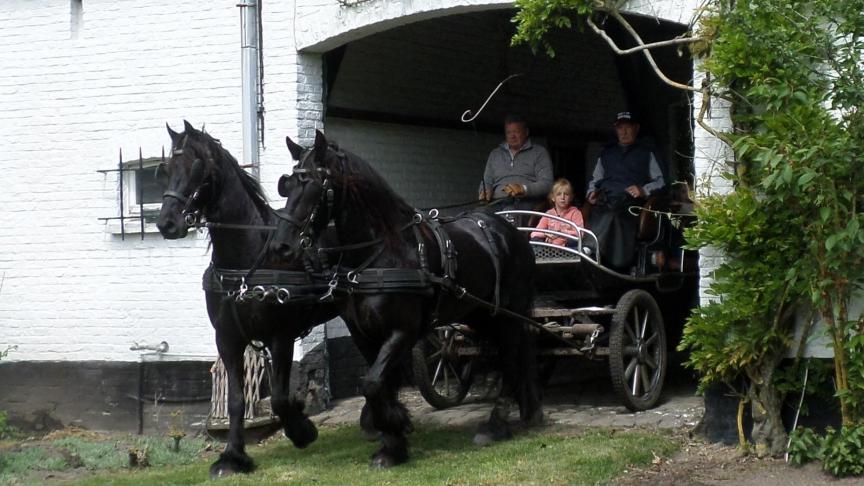 Zeventig koetsen en talrijke ruiters deden mee aan de lentewandeling.