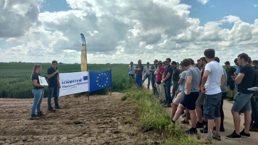 Naast rassenonderzoek wordt er ook een bemestingsproef uitgevoerd in de wintertarwe aan de Pibo-Campus.