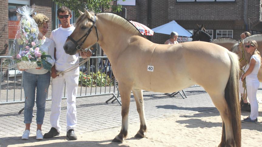 Melinka van de Caesaarshoeve, best getoiletteerde Fjord. Eig.: Danny Vermoote uit Koksijde.