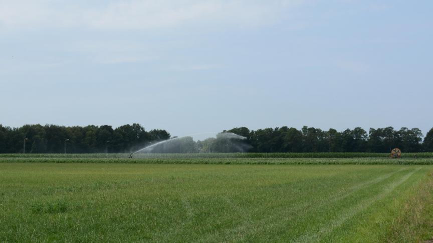 De droogte stelt boeren voor hogere kosten en soms onherstelbare schade.
