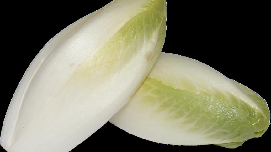 Witloof wordt aanzien als saai, lelijk en kleurloos, en wordt hierdoor niet gebruikt.