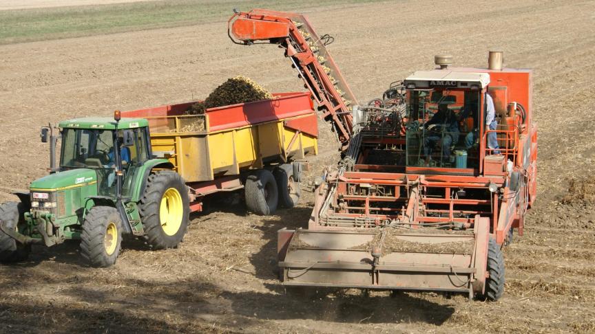 De droogte lijkt de oogst te decimeren (archiefplaat)
