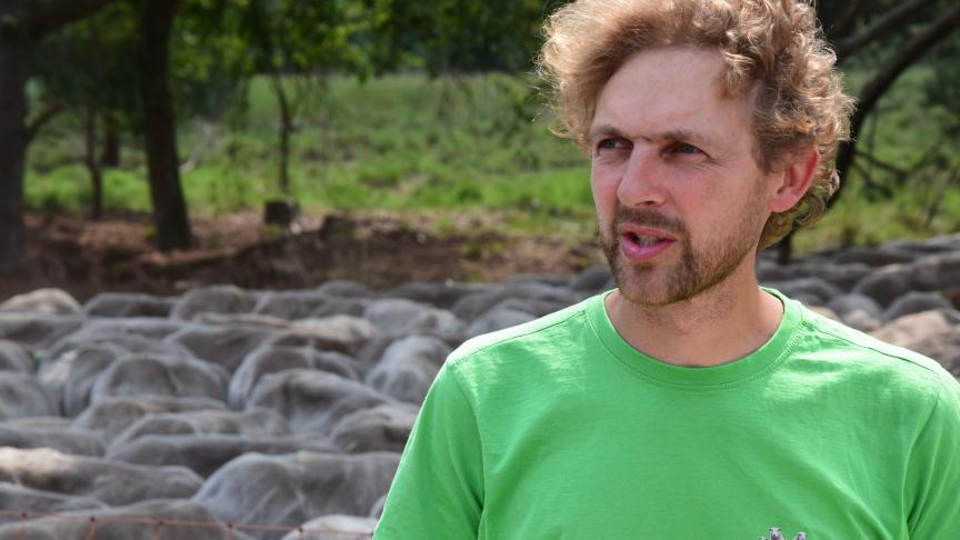 Maarten viel voor de charmes van het robuuste, eigenzinnige Kempische heideschaap en ging de werking van vzw Kemp leiden als coördinator.