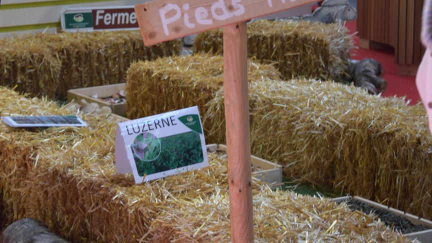 Ideeën voor beleving op de boerderij op de thematentoonstelling van Libramont 2018.