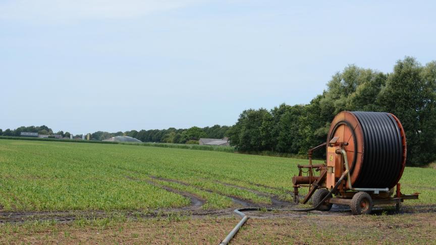 De droogte leidt tot lagere opbrengsten, producten van minder kwaliteit en in geval van beregening fiks hogere kosten.