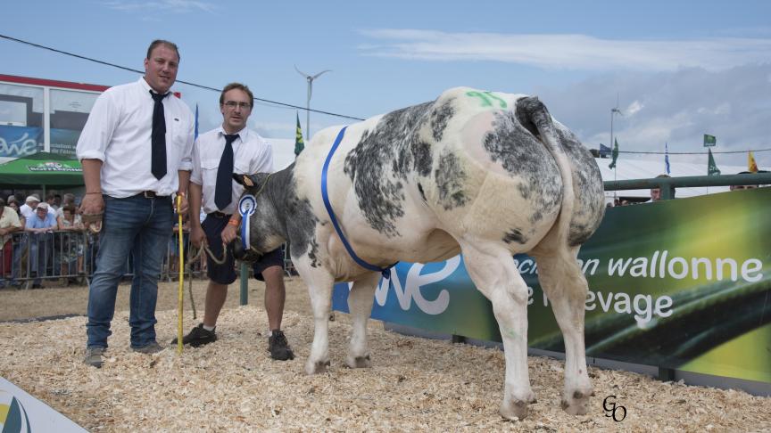 Intacte ET du Pouhon (Grommit X Shériff), reekswinnaar jonge vaarzen. Eig.: J.-M. & J.-P. George & J.-F. Warnant, Clavier.