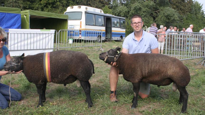 Jaarlingram: Kampioen 1055-0642 Sprangers J Meer, Reserve 4212-1477 Werbrouck W& G Gits.