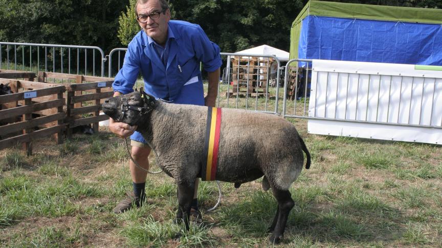 Oude ram: 26097-75257 Steurbaut B Hillegom.