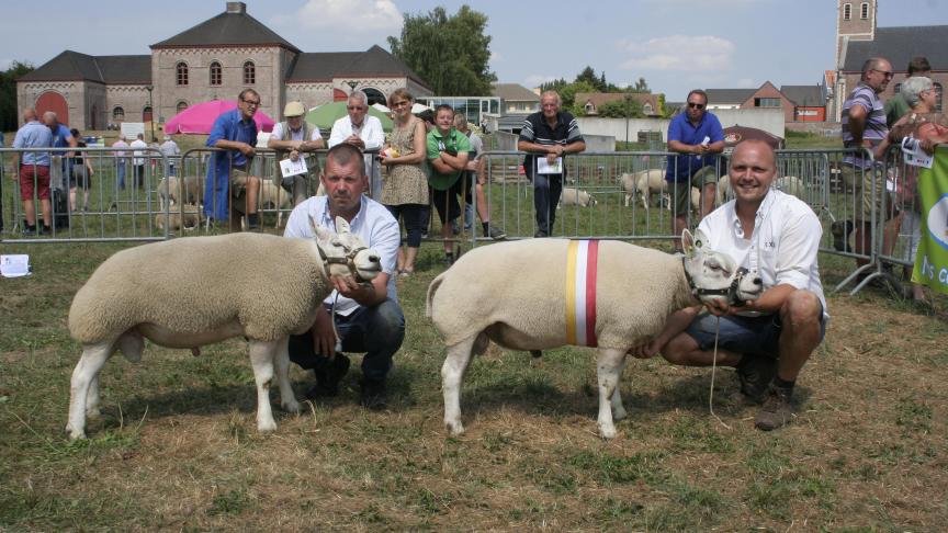 Jaarlingram:Kampioen 1055-0672 Destexche Bolland, Reserve 3369-0680 Werbrouck W&G Gits.