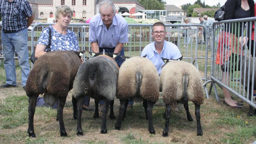 Bedrijfsgroep: Werbrouck W&G Gits.