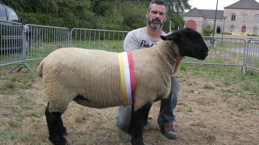 Jaarlingooi: FHT17 01458 Waillez D Asquillies.