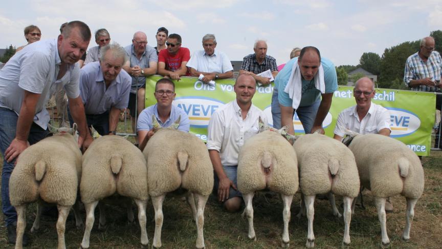 Zes beste jaarlingooien: 4212-1453/1494/1658 Werbrouck W&G Gits, 8503-5077 Destexche Bolland, 8501-7152 Destexche Bolland, 1057-1025 Devos M Herzele.