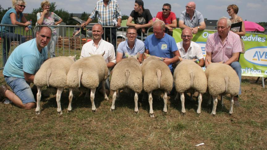 Zes beste ramlammeren: 4210-1640 Werbrouck W&G Gits, 8503-5141/5115 Destexche Bolland, 4172-0204/0205 Diericxk Denderleeuw, 1055-0795 Sprangers J Meer.