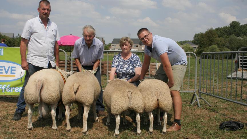 Bedrijfsgoep: Werbrouck W&G Gits.