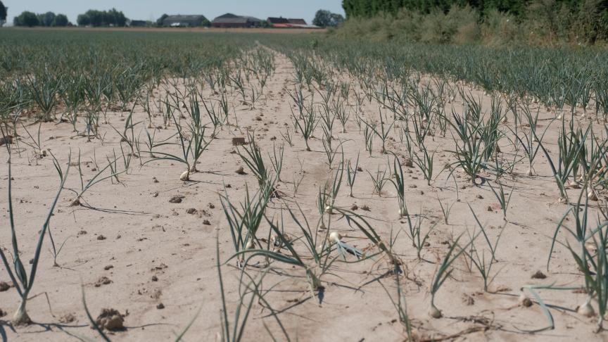 Landbouwers die zich met hart en ziel inzetten voor hun product en die door onvoorziene omstandigheden hun oogst verloren zien gaan, hebben recht op een correcte en snelle schadevergoeding, zegt de Open Vld-minister.