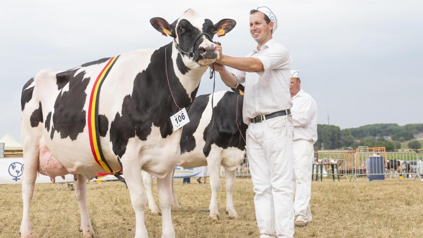 Huvara, kampioene zwartbonte volwassen koeien en algemeen kampioene.
Eig.: Lieven Ryckewaert, Harelbeke.