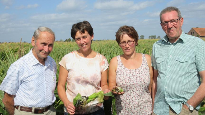 De schattingscommissie van Ardooie: André Verhoest, Kathleen Verhelle, Ilse Vereenooghe  en Erik Baeckelandt.