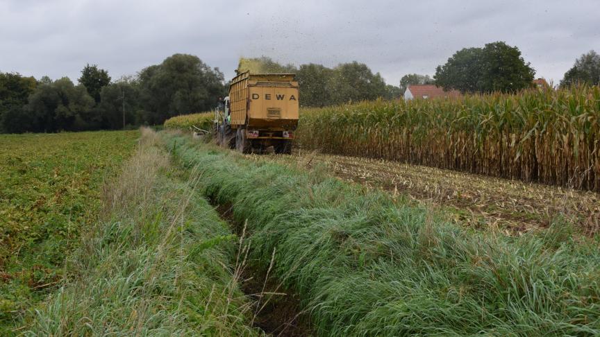 Binnen de eerste meter langs alle oppervlaktewaterlichamen, moet u een teeltvrije zone van 1 meter voorzien.