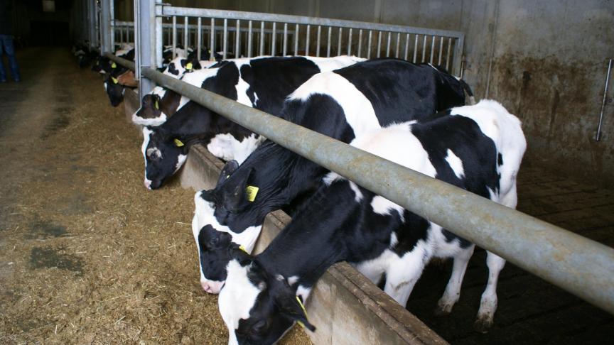 In de beroepsprocedure werd het volledige dossier geweigerd, omdat de minister het aspect geurhinder onvoldoende onderzocht vond.