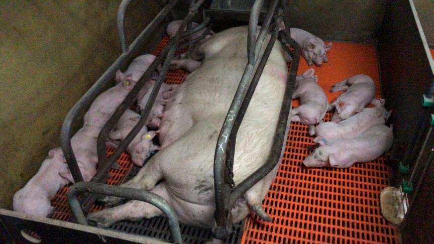 Bij van Asten Group in Horst (NL) kijken ze naar mogelijkheden om de kringloop te sluiten.