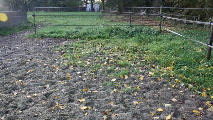 Het gras, maar ook het onkruid groeit nu eveneens langer door dan bij een vroege herfst.
