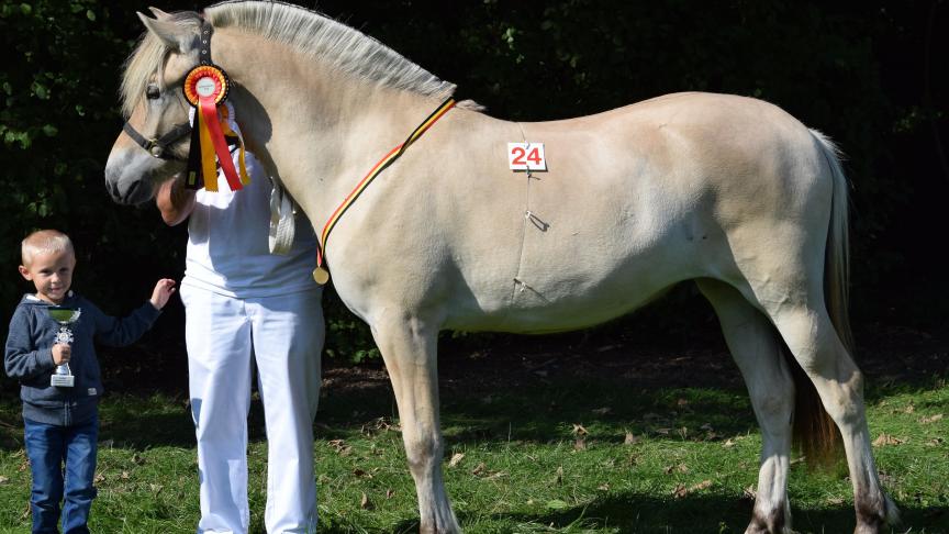 Toundra van het Terweidenhof, jeugdkampioene. Eig.: Valère Brans, Zoutleeuw.
