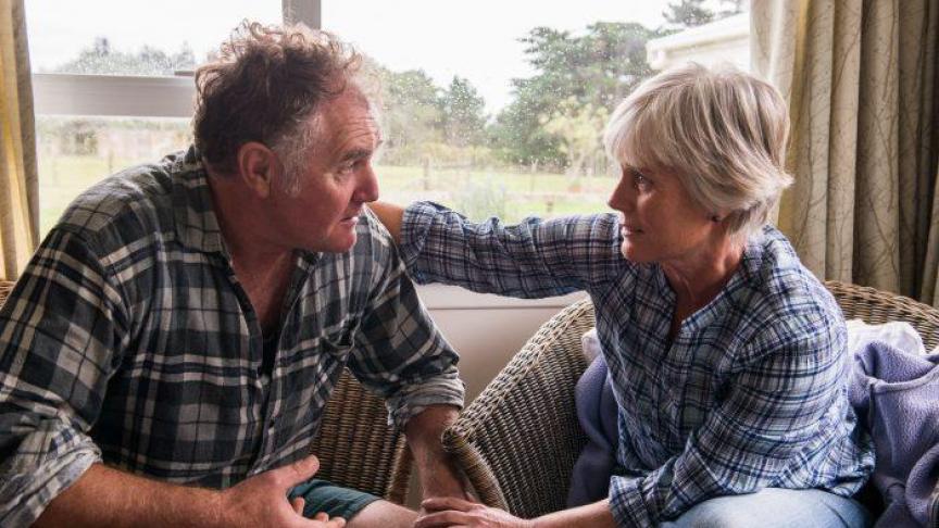 Net geen 40 % van de ondervraagden die geen hulp vragen, heeft de indruk dat de landbouworganisaties hen niet kunnen helpen.