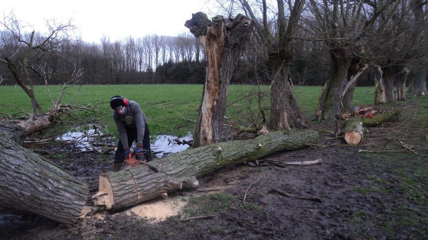 Wie tijd, ruimte en zin heeft, kan zelf de bomen voor het brandhout aanplanten.
