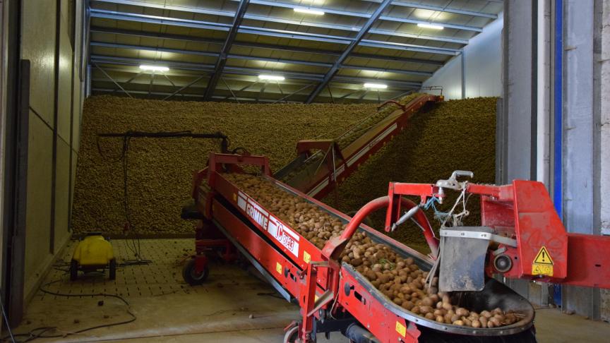 De inschuurlijn: die heeft de moderne aardappelteler het liefst zo geautomatiseerd mogelijk, opdat hij er dan weinig naar moet omzien en er niet te veel werkkrachten aan kwijt is.