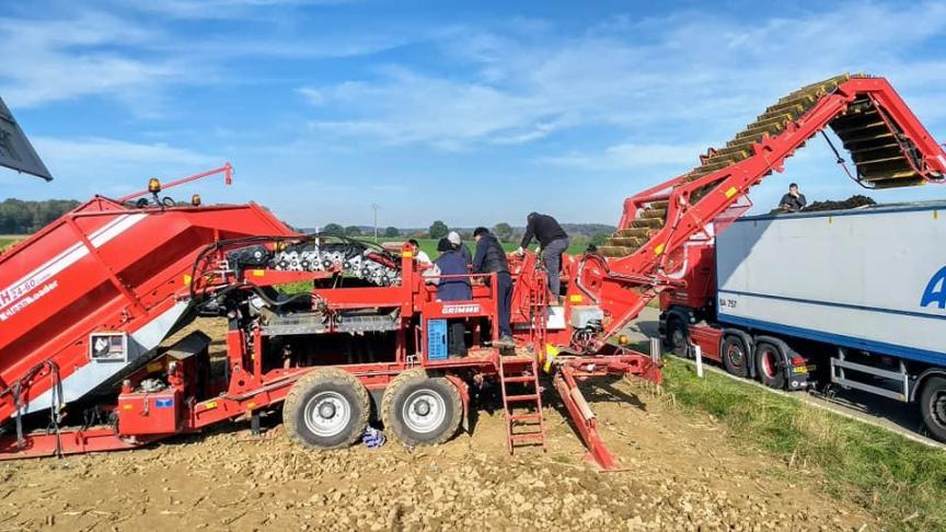 Enkele fabrikanten zijn de weg van 
een ‘veldstation’ ingeslagen om aardappelen te reinigen en 
te verladen op
het veld.