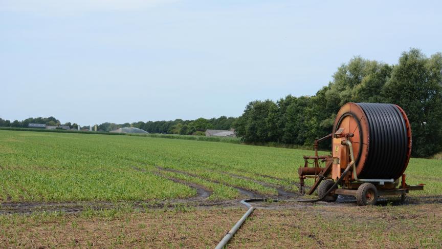 Droogte is een steeds vaker terugkerende plaag in Limburg.