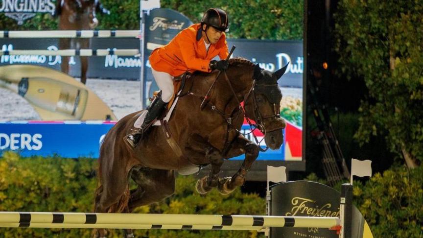 Vorig jaar werd Don VHP tot paard van het jaar verkozen. Ook dit jaar is het deelnemersveld weer sterk.