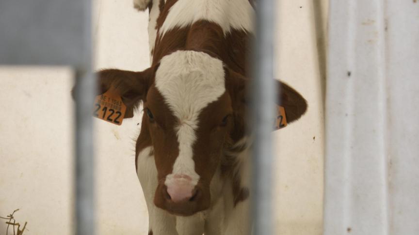 Door af en toe een moment vrij te houden om je handelingen te evalueren, kan je wel degelijk nieuwe gewoontes en adviezen goed inburgeren.