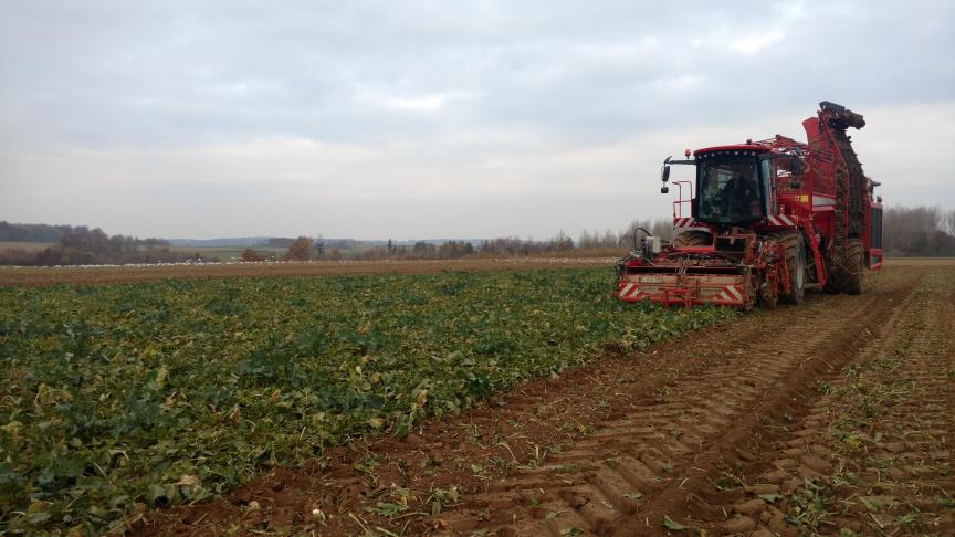 IMG_20181120_135457592