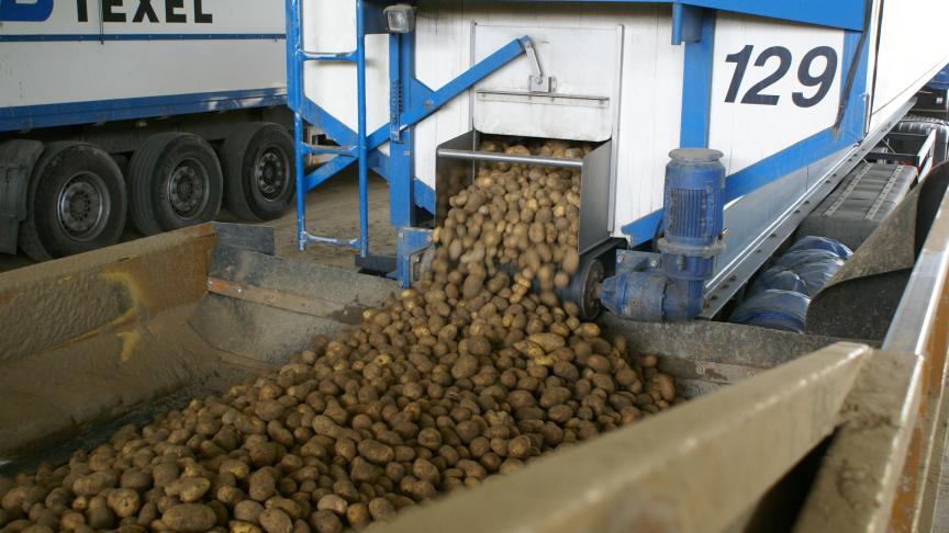 Na een mager aardappeljaar, zou 2019 weer een vet jaar kunnen worden.