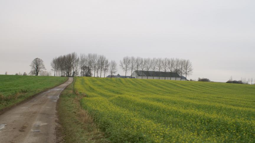 Landbouwgrond moet beschermd worden, vindt een groep landbouworganisaties en academici.