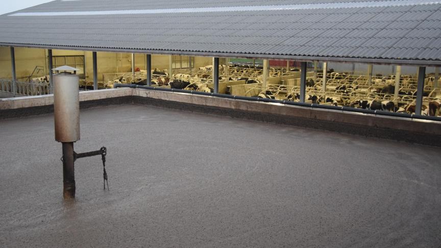 Een kleinschalige biologie is haalbaar voor een individueel melkveebedrijf, en kent het voordeel van de betrouwbaarheid.