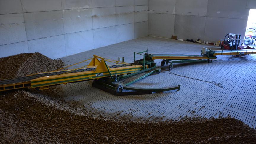 In de schuren van de familie Van Puymbrouck zijn er dit jaar drie frietrassen: Royal, Innovator en Marquise.